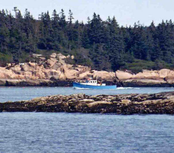 barharbor038