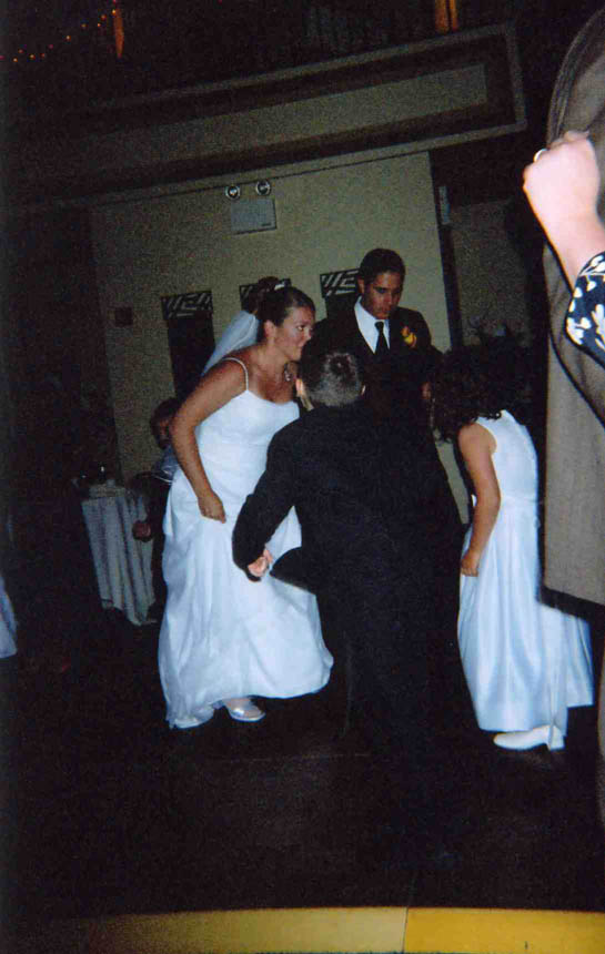 weddingdisposable153