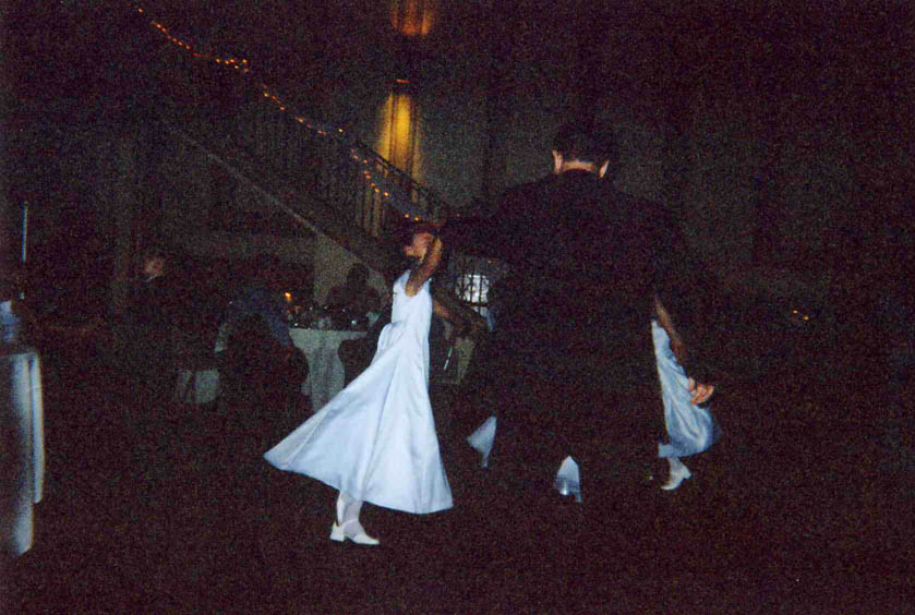 weddingdisposable225